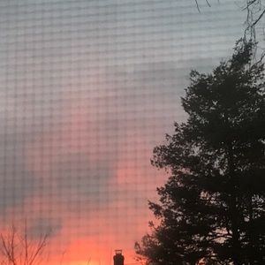 Meet your Posher, Mandie